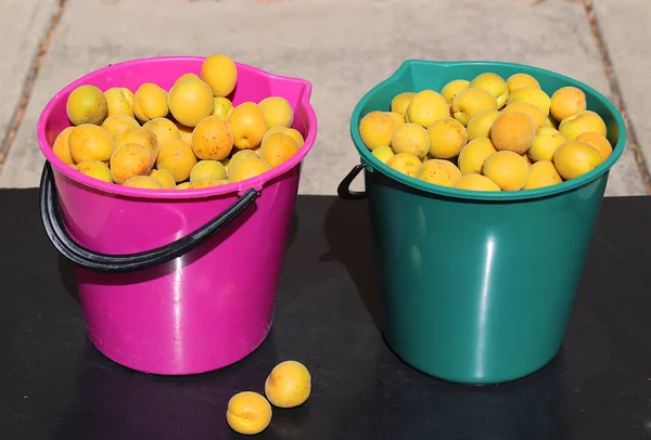 Ripe apricots in green and pink buckets, close-up, focus in the foreground, horizontal picture