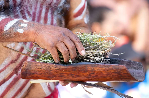 Australian Aboriginal Ceremony, man's hand with green branches and flame, start a fire for a ritual rite at a community event in Adelaide, South Australia