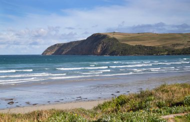 Güzel okyanus manzarası, yeşil önplanlı kıyı şeridi, dalgalar ve arka planda büyük bir tepe.