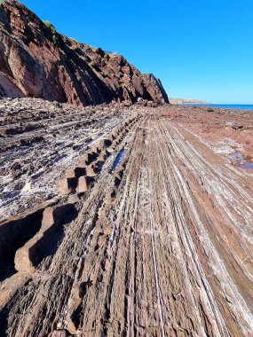 Unusual rock structure against the sea water background, coastline, interesting geological object at Hallett Cove, Australia clipart