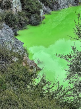 Soyu tükenmiş bir volkanın kraterindeki yeşil göl Yeni Zelanda 'nın Kuzey Adası' nın volkanik bölgesinde Rotarua bölgesinde jeotermal aktivite.