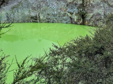 Soyu tükenmiş bir volkanın kraterindeki yeşil göl Yeni Zelanda 'nın Kuzey Adası' nın volkanik bölgesinde Rotarua bölgesinde jeotermal aktivite.