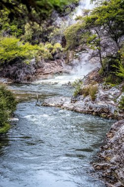 Yeni Zelanda 'nın Kuzey Adası' nın volkanik bölgesindeki Rotarua bölgesinde volkanik aktivite bölgesinde sıcak su kaynakları.