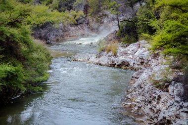 Sülfür kaynakları, volkanik aktivite, Yeni Zelanda 'nın kuzeyindeki Rotarua bölgesinde jeotermal aktivite bölgesi.