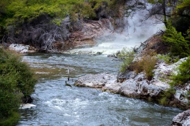 Yeni Zelanda 'nın Kuzey Adası' nın volkanik bölgesindeki Rotarua bölgesinde volkanik aktivite bölgesinde sıcak su kaynakları.
