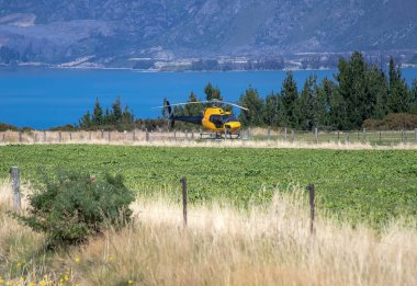Sarı bir helikopter gölün kıyısında yeşil bir çimenlikte duruyor.