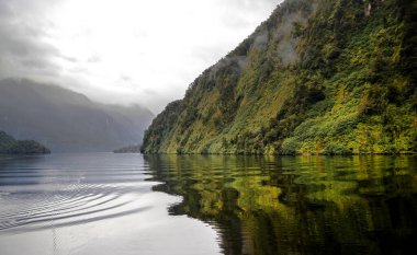 Şüpheli Ses Fiord, Yeni Zelanda 'da deniz manzarası, soğuk ve bulutlu bir havada yeşil kostüm ve yansıma. Doğada Güzellik
