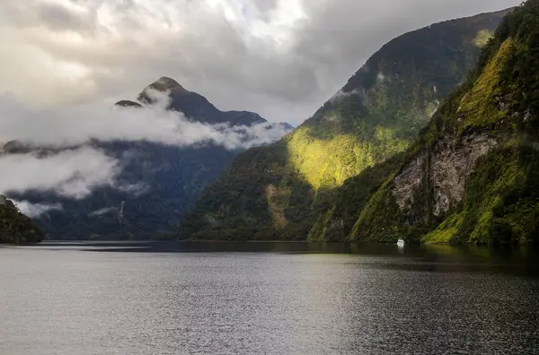 Şüpheli Ses Fiord, Yeni Zelanda 'da deniz manzarası, soğuk ve bulutlu bir havada yeşil kostüm ve yansıma. Doğada Güzellik