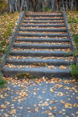 Parktaki eski taş merdiven, rengarenk sonbahar yaprakları, sonbahar manzarası. Mevsimlik güzellik