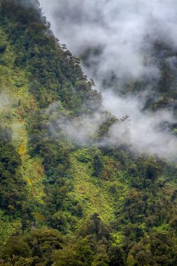 Seascape in Doubtful Sound Fiord, Yeni Zelanda, yeşil costline ve sis, bulutlu hava. Doğada Güzellik