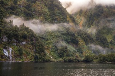 Şüpheli Ses Fiord, Yeni Zelanda 'da deniz manzarası, soğuk ve bulutlu bir havada yeşil kostüm ve yansıma. Doğada Güzellik