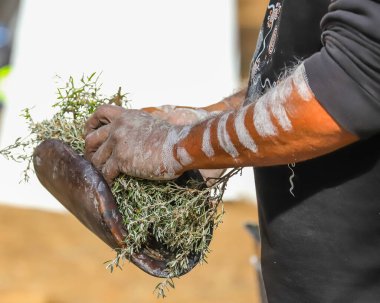 Yeşil dalları olan insan elleri, ahşap yemek ve ateş, Avustralyalı Aborjinlerin sigara içme töreni, yerel halk etkinliklerinde ayin. Ülke törenine hoş geldiniz.. 