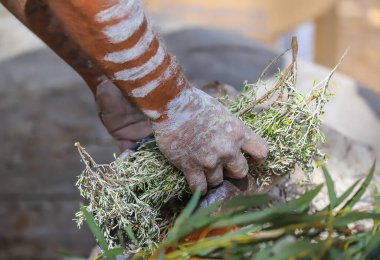 Human hands with green branches, wooden ritual dish and fire, Australian aboriginal smoking ceremony, ritual rite at an indigenous community event. Welcome to the country ceremony.  clipart