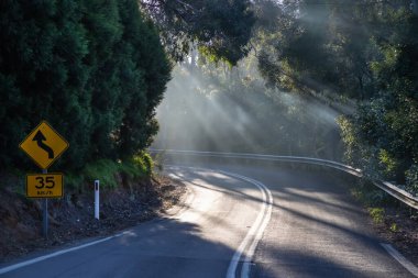 Ormanda yol, keskin dönüş, sis ve ağaçların arasından güneş ışınları, yol işareti, sembol. Yüksek kalite fotoğraf