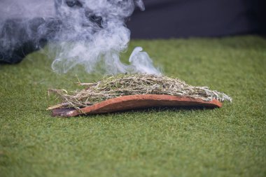 Aboriginal wooden ritual dish with green branches, Australian indigenous smoking ceremony, ritual rite at an indigenous community event. Welcome to the country ceremony clipart