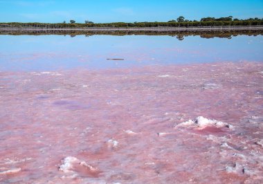 Avustralya 'da pembe tuz gölü, yakından pembe tuz, alışılmadık manzara, ön plana odaklanma. Yüksek kalite fotoğraf