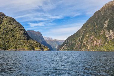 Milford Sound Fiord, Yeni Zelanda 'da deniz manzarası, durgun ve bulutlu bir havada yeşil costline ve yansıması. Doğada Güzellik