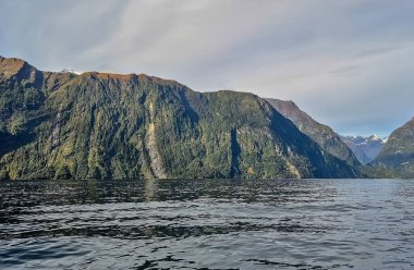 Milford Sound Fiord, Yeni Zelanda 'da deniz manzarası, durgun ve bulutlu bir havada yeşil costline ve yansıması. Doğada Güzellik