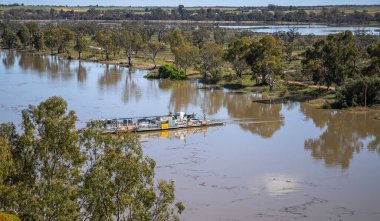 Güney Avustralya 'da yemyeşil bitki örtüsüyle çevrili Murray Nehri' nin sakin sularından geçen feribot. Yüksek kalite fotoğraf