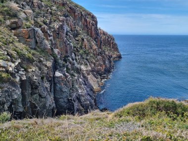 Okyanusa bakan Cape Hauy Tazmanya 'nın eşsiz kayalıkları Avustralya' nın engebeli kıyı yürüyüşünün en parlak noktasıdır. Yüksek kalite fotoğraf