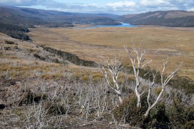 Expansive view of Wilmots golden plains and winding waterways under a bright sky in Tasmania, Australia. High quality photo clipart