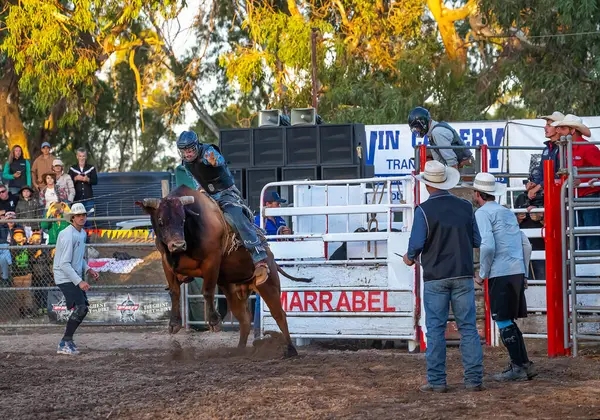 Marrabel, Avustralya 15-02-2025: Güney Avustralya 'da rodeo rodeo rodeosu, boğa binicilerinin hayvan çiftçiliğini desteklemek için yerel çiftçi aileleri tarafından başlatılan boğa güreşçileriyle eşleştiği etkinlik.