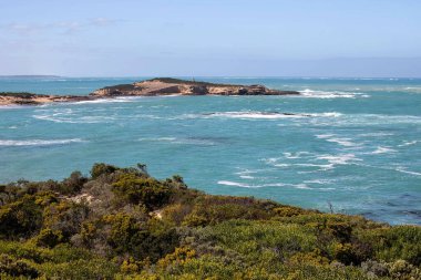Güney Avustralya 'da turkuaz deniz, engebeli ada, köpüklü dalgalar ve ön planda doğal bitki örtüsüyle kıyı manzarası