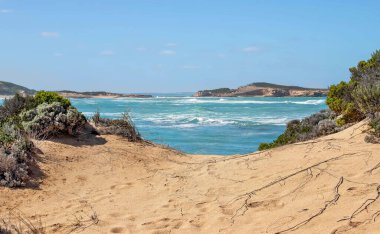 Güney Avustralya 'da turkuaz deniz, engebeli ada, köpüklü dalgalar ve ön planda doğal bitki örtüsüyle kıyı manzarası
