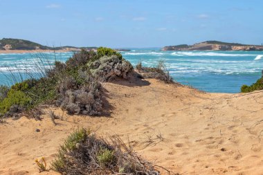 Güney Avustralya 'da turkuaz deniz, engebeli ada, köpüklü dalgalar ve ön planda doğal bitki örtüsüyle kıyı manzarası