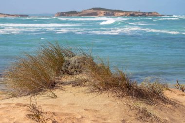 Güney Avustralya 'da turkuaz deniz, engebeli ada, köpüklü dalgalar ve ön planda doğal bitki örtüsüyle kıyı manzarası