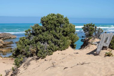 Güney Avustralya 'da turkuaz deniz, engebeli ada, köpüklü dalgalar ve ön planda doğal bitki örtüsüyle kıyı manzarası
