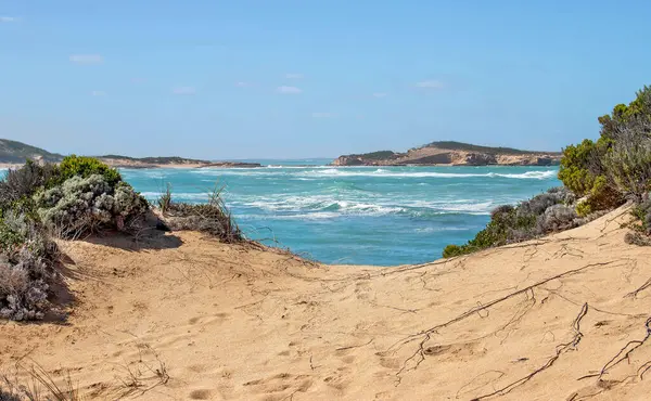 Güney Avustralya 'da turkuaz deniz, engebeli ada, köpüklü dalgalar ve ön planda doğal bitki örtüsüyle kıyı manzarası
