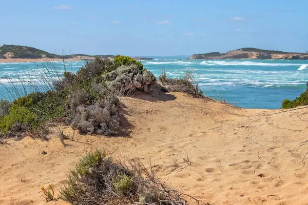 Güney Avustralya 'da turkuaz deniz, engebeli ada, köpüklü dalgalar ve ön planda doğal bitki örtüsüyle kıyı manzarası