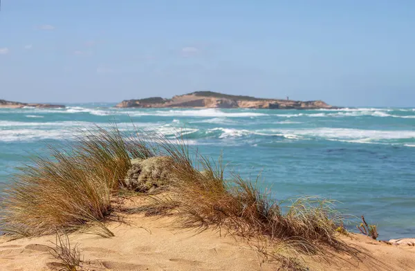 Güney Avustralya 'da turkuaz deniz, engebeli ada, köpüklü dalgalar ve ön planda doğal bitki örtüsüyle kıyı manzarası