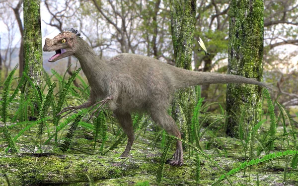 Dinossauro Ornitholestes Movendo Através Uma Área Florestada Pantanosa Nesta Cena — Fotografia de Stock