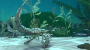 Nesli tükenmiş deniz akreplerinin 3D animasyonu Eurypterus 420 milyon yıl önce bir Silurian deniz tabanında tekrar ortaya çıkar..
