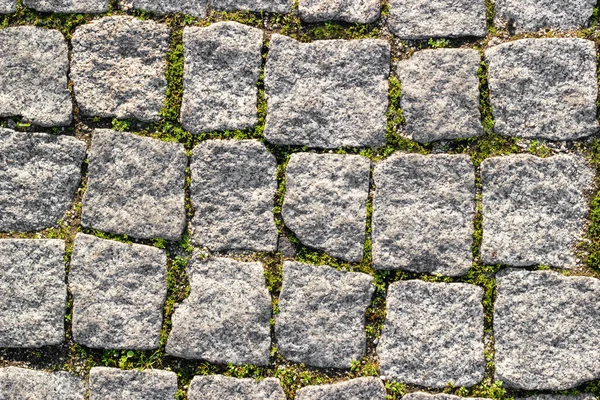 Textura Estrada Pedra Pavimentada Com Pedras Assimétricas Com Grama Brotada — Fotografia de Stock
