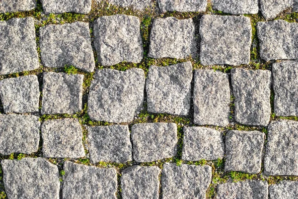 Estrada Pedra Pavimentada Com Pedras Assimétricas Com Grama Brotada Entre — Fotografia de Stock