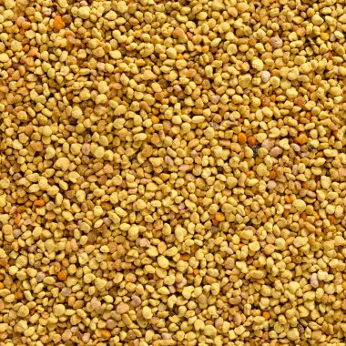 Kusursuz desenli turuncu perga arkaplan, üst görünüm