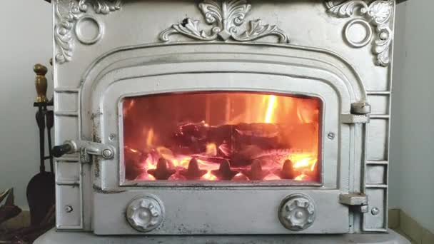 Api Membakar Dalam Gaya Lama Logam Perapian Balik Pintu Kaca — Stok Video