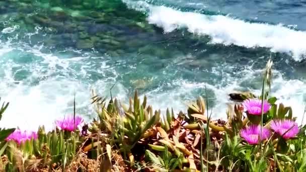 Schöne Meereswellen Mit Weißem Schaum Und Mit Rosa Blumen Und — Stockvideo