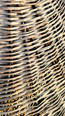 Birbirine dolanmış kuru dalların arka planı, çapraz çizgiler, dikey çerçeve.