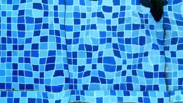 Kara Balıklar Havuzda Yüzerek Mavi Mozaik Fayansların Arka Planına Karşı — Stok video