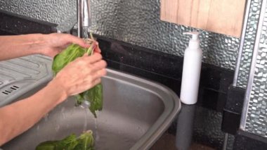 Kadınların elleri ev mutfağındaki lavabonun üzerinde akan suyun altında ıspanak yapraklarını iyice yıkıyor..