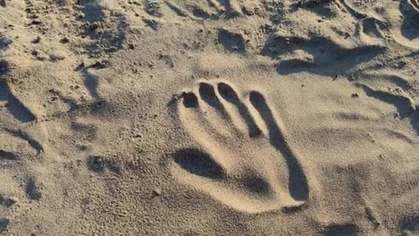 时间的流逝 不稳定或转变的概念 沙子上的手印逐渐消失在从上方落下的沙子下 — 图库视频影像