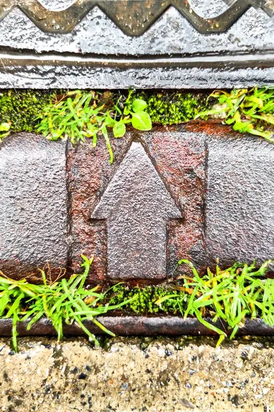 Çevrelenmiş Metal Ok Yeşil Çimen, Modern Teknoloji ve Doğa Uyumlu Füzyon Sembolü, Yönlendirme ve Hareket Kavramı ve Geliştirme ve İlerleme Yolu, Dikey Çerçeve