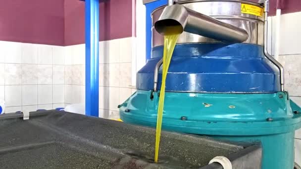 Produktionsprozess Von Nativem Olivenöl Extra Der Fabrik Olivenöl Strömt Aus — Stockvideo