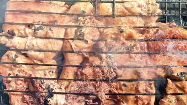 Grillning Matlagning Kyckling Kött Stekt Grill Coals Cose Ovanifrån — Stockvideo