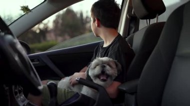 Shih Tzu köpekli çocuk bir arabanın yolcu koltuğunda oturuyor ve manzaraya bakıyor. 