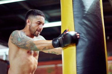 Eldiven takan kaslı boksör, spor salonundaki ağır bir torbaya güçlü yumruklar atarak kendini adamış ve güçlü olduğunu gösterir.